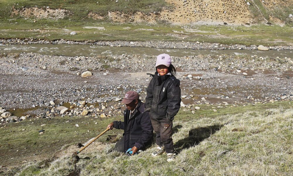 Exploring the 'Forbidden Land of Life' on the Tibetan Plateau - Image 9