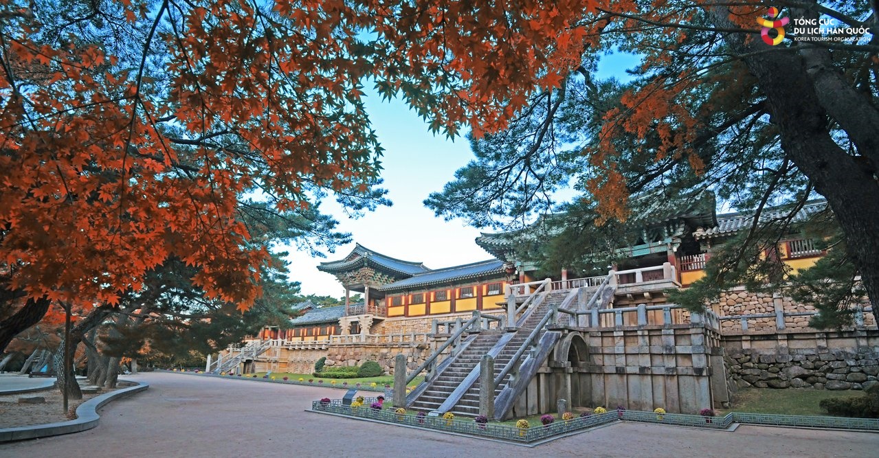 South Korea Travel Guide - Image 7