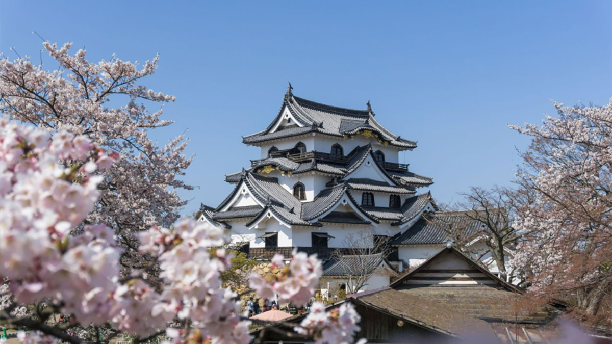 Top 10 Most Beautiful Castles in Japan - Image 5