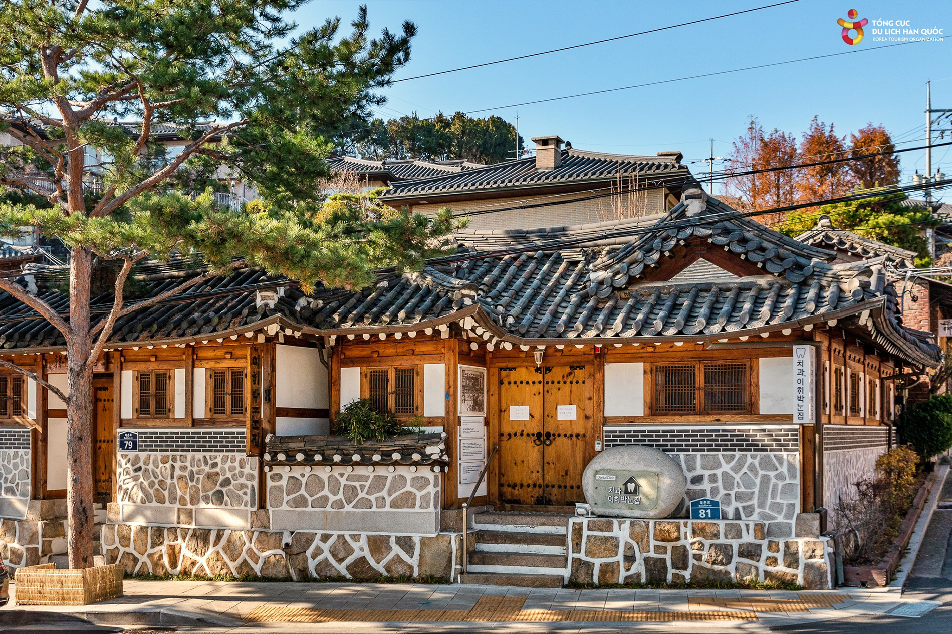 South Korea Travel Guide - Image 9