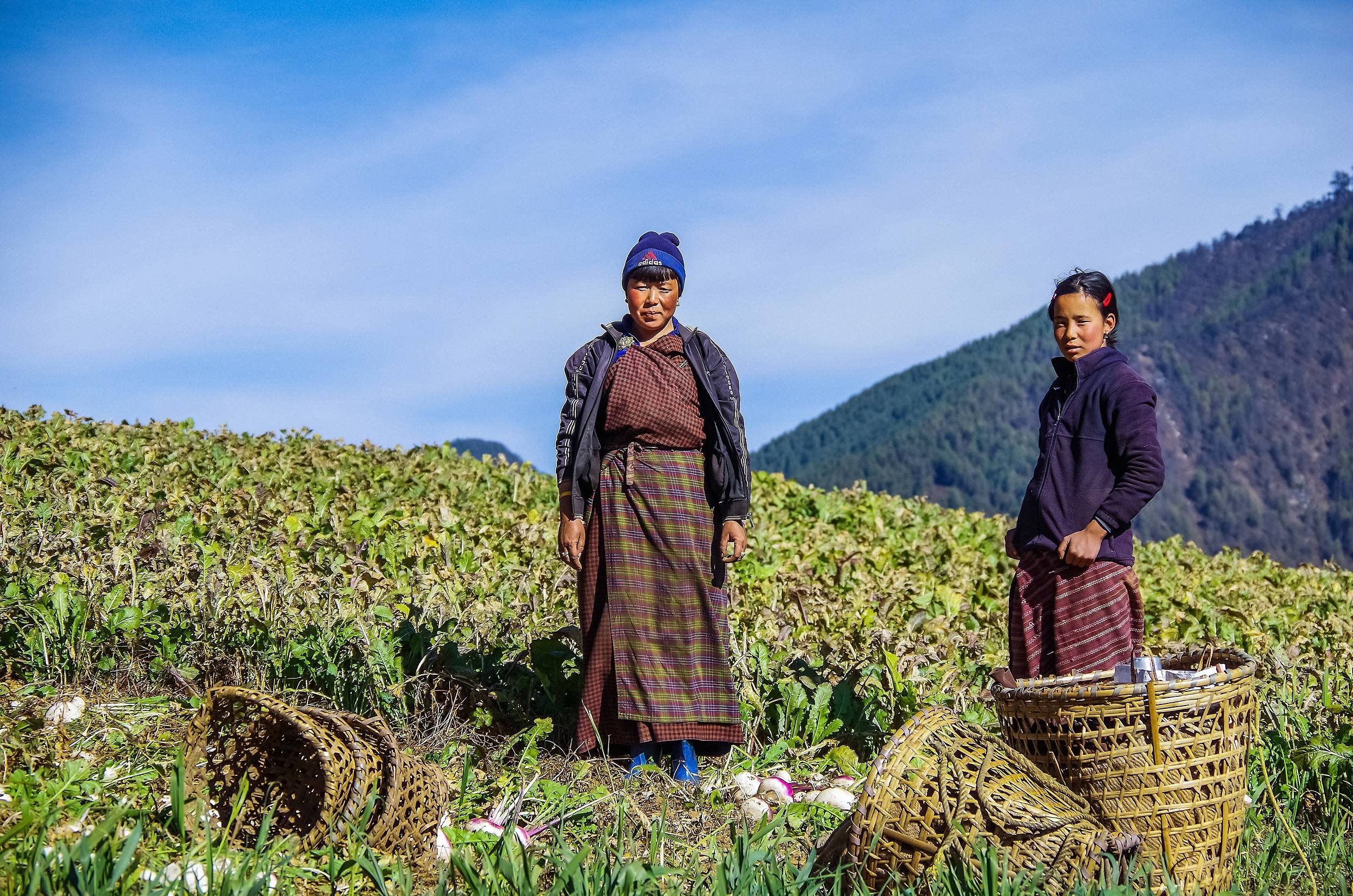 The Green Revolution in Bhutan - image 3